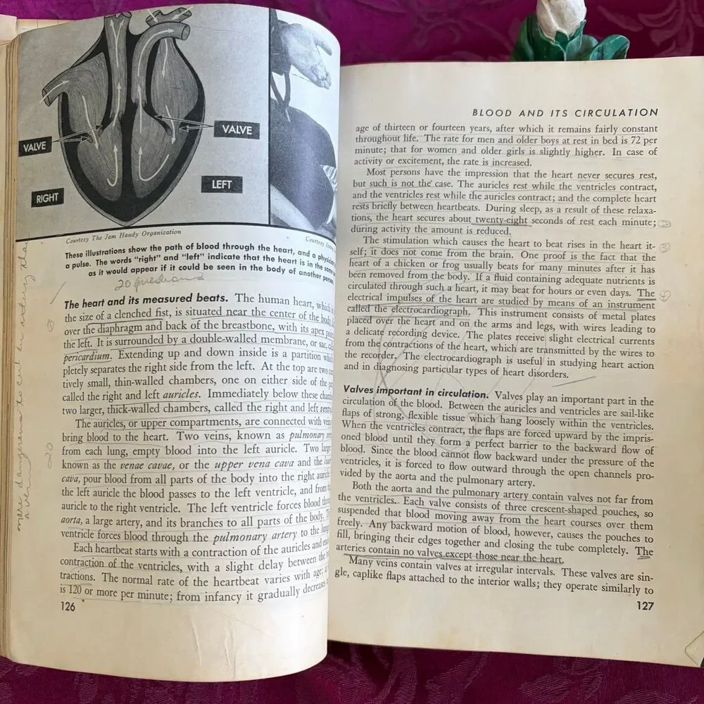 1945 Life and Health by Wilson, Bracken and Almack, Vintage School Book